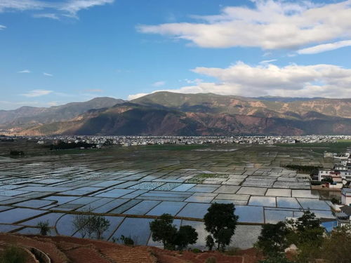 机械插秧助力云南永胜水稻规模化种植